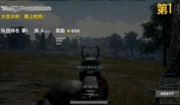 狂风吃鸡爆料视频